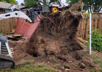 Pulling out a tree stump with Stark's Tree Service