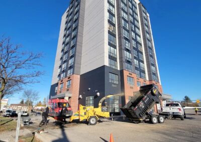 Chipping away at a tree in a high rise landscaping